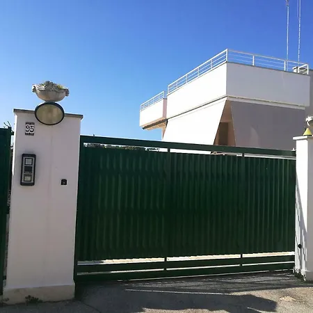 Amelie ביצ'לייה